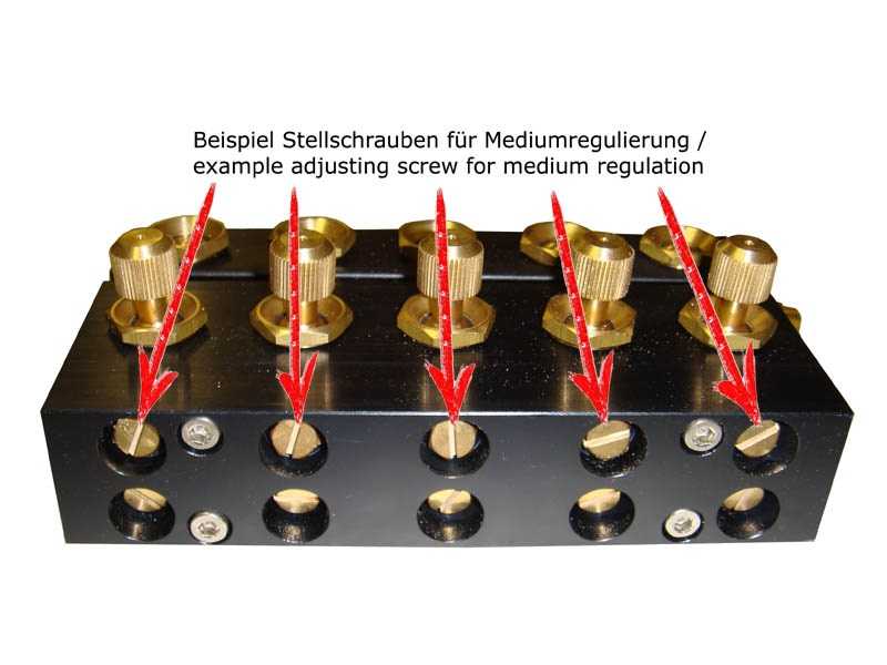 Spray tool with 2x5 adjustable nozzles